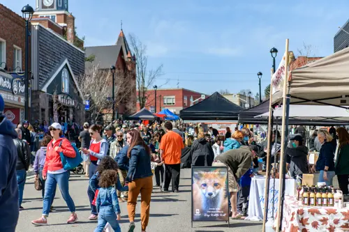 residents walking around at maple festival outside